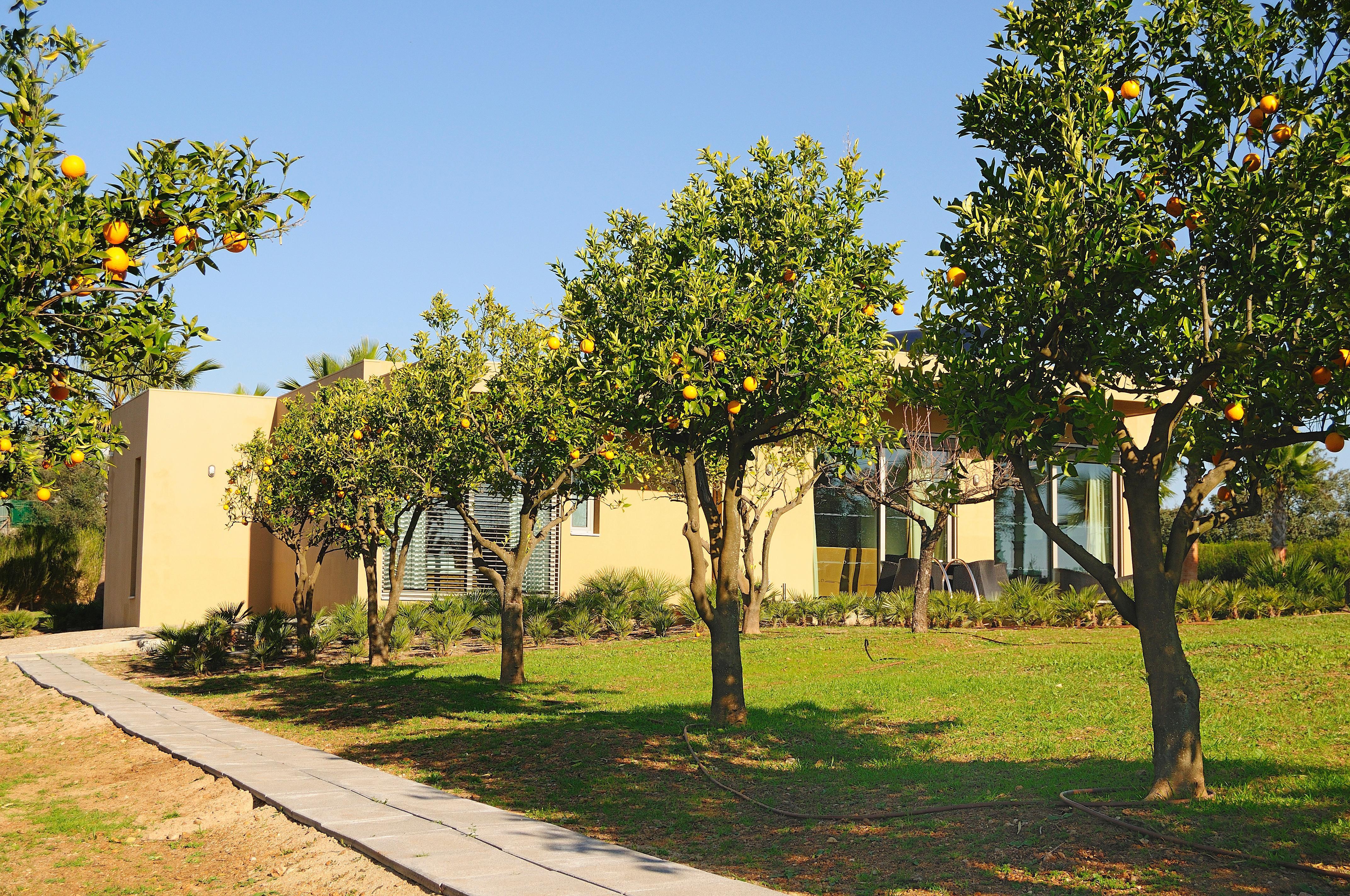 Hotel Montargil Monte Novo Exterior foto